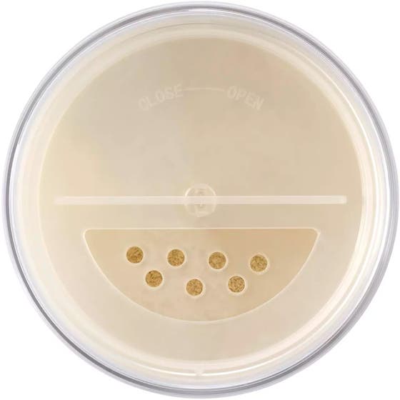 The Loose Setting Translucent Powder 00