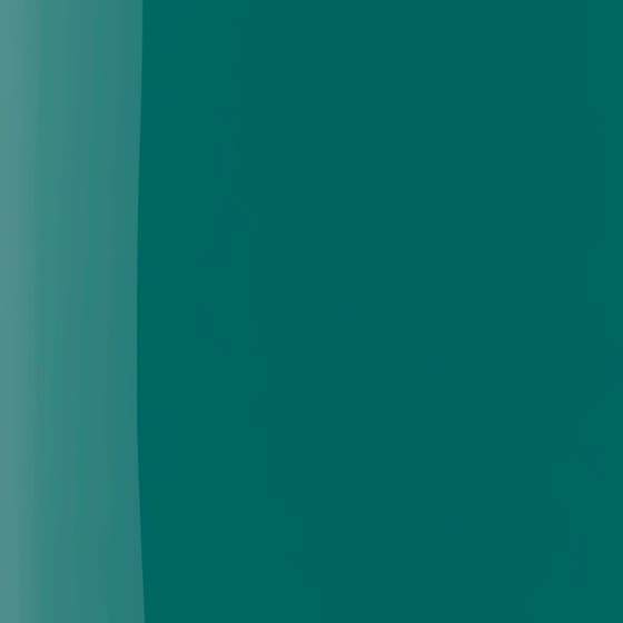 The Wonder Nail Polish Quick dry & Longwear