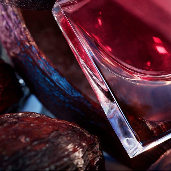 La Vie Est Belle L'Elixir