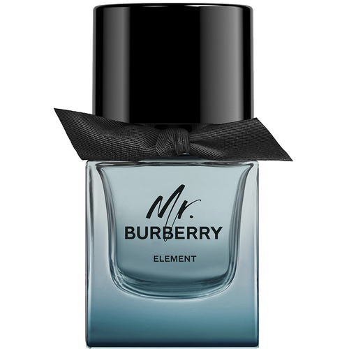 Burberry Mr Burberry Element 