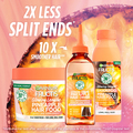 Fructis Hair Drink Pineapple Lamellar Treatment