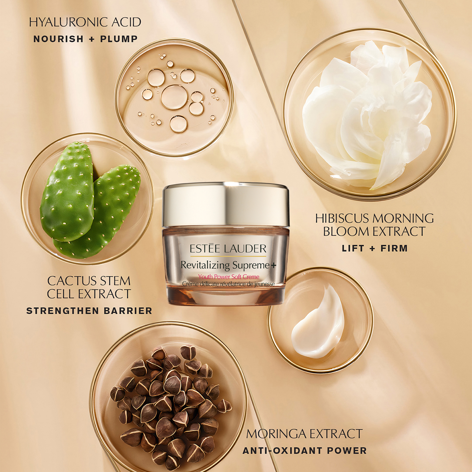 Revitalizing Supreme + Soft Cream