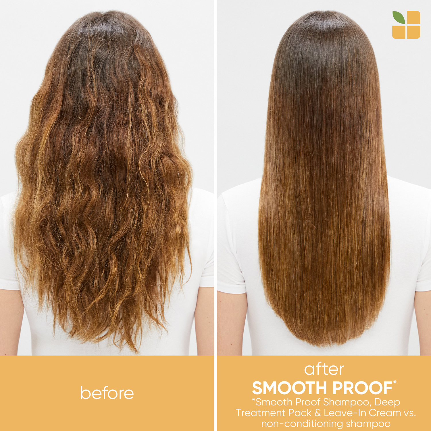 SmoothProof Routine for Frizzy Hair With Oil