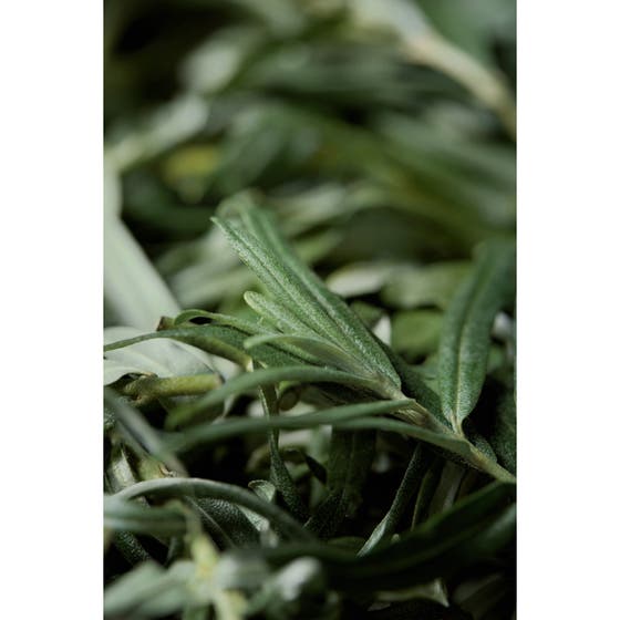 Vitamin Tree Sheet Mask