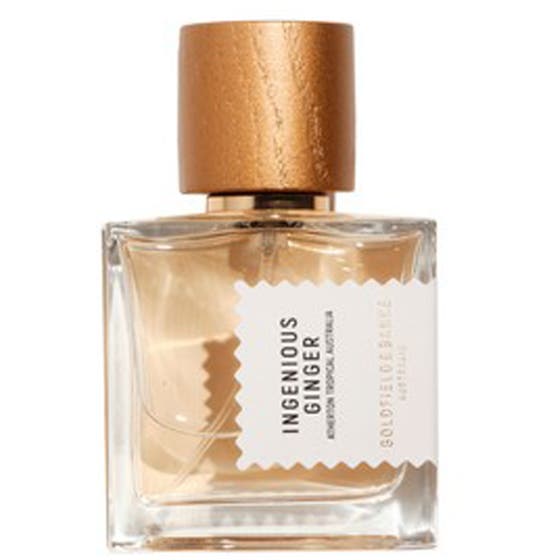 Ingenious Ginger