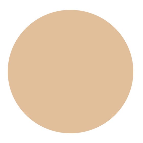 BB Skin Detox Fluid SPF25