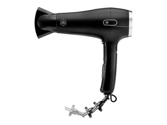 Artist Fold & Rewind