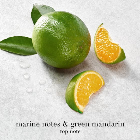 Armani Acqua di Giò Eau de Parfum 100 ml elegant sommarparfym herr med toppnoter av grön mandarin och marina noter