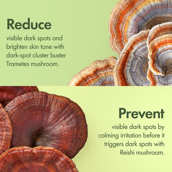 Dr. Weil Mega-Mushroom Dark Spot Brightening Serum