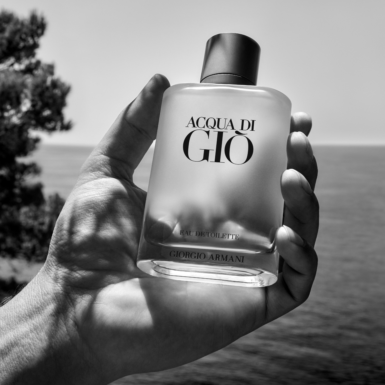 Acqua Di Gio Homme