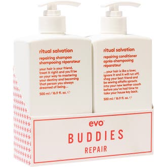 Buddies Repair