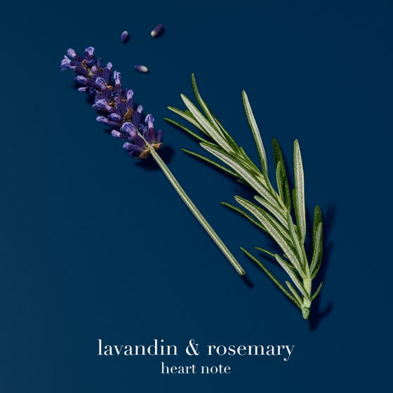 Acqua di Giò Profondo