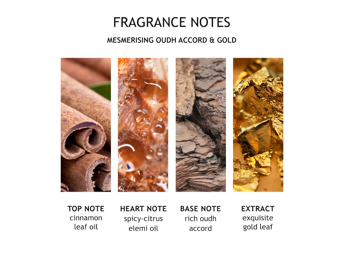 Mesmerising Oudh Accord & Gold Fine Liquid Hand Wash