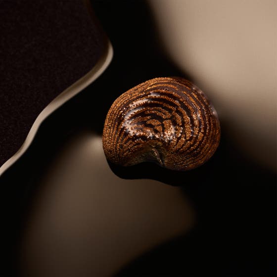 The Scent For Her Magnetic