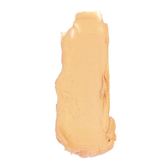 Anne T. Dotes Concealer