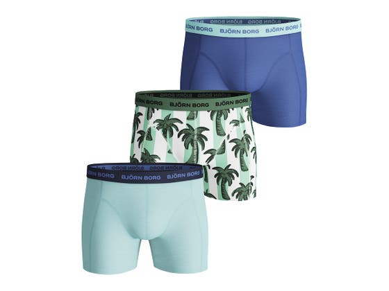 Essential Sammy Palmstripe Boxer