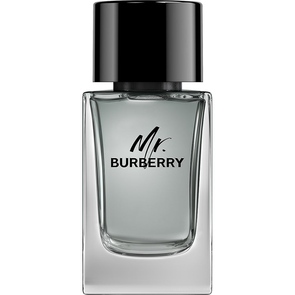Burberry Burberry Mr. Burberry Eau de Toilette - 100 ml parfym
