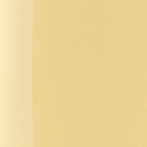 The Wonder Nail Polish Quick Dry & Longwear