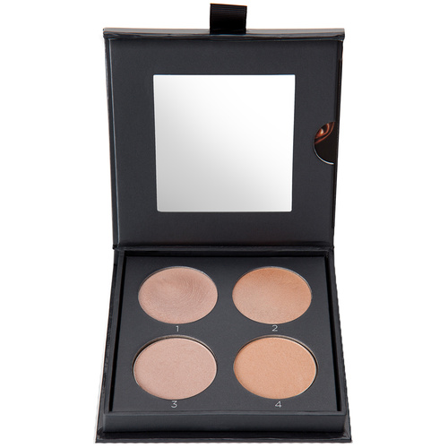 Cover FX Perfect Light Palette