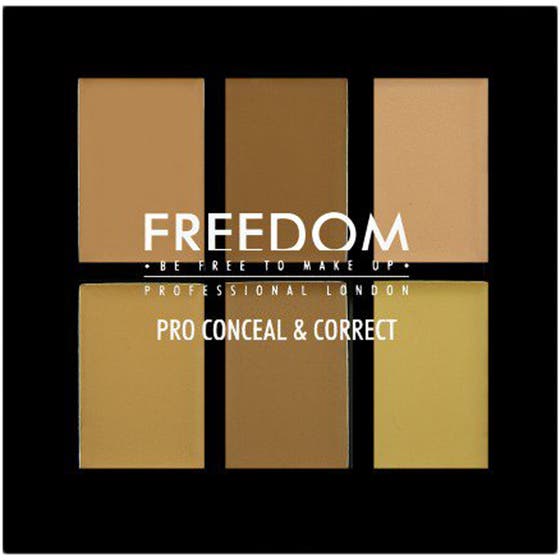 Pro Conceal & Correct