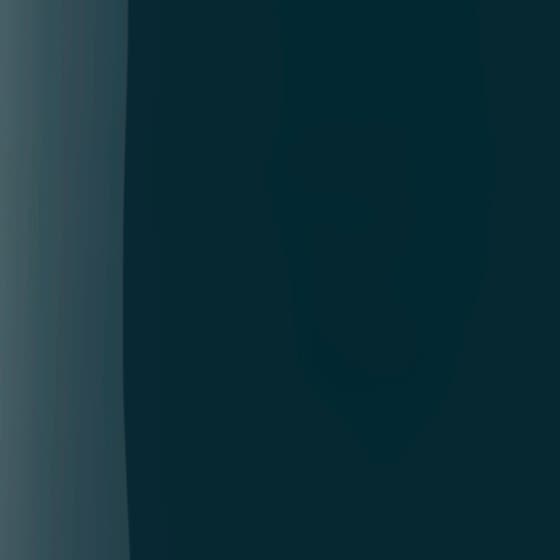 The Wonder Nail Polish Quick Dry & Longwear