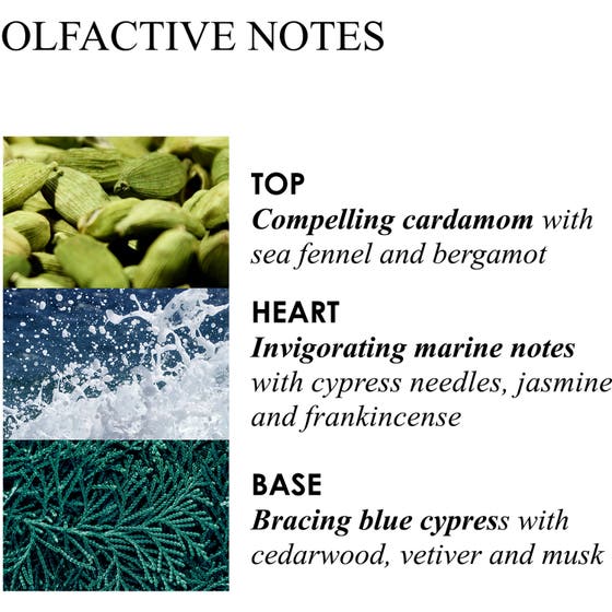 Coastal Cypress & Sea Fennel Hand Wash