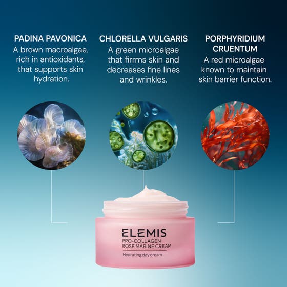 Pro-Collagen Rose Marine Cream