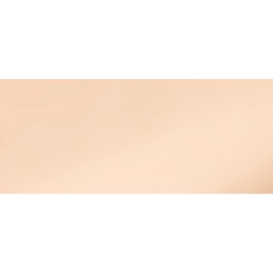 The No Compromise 2-in-1 Soft-Matte Foundation & Concealer