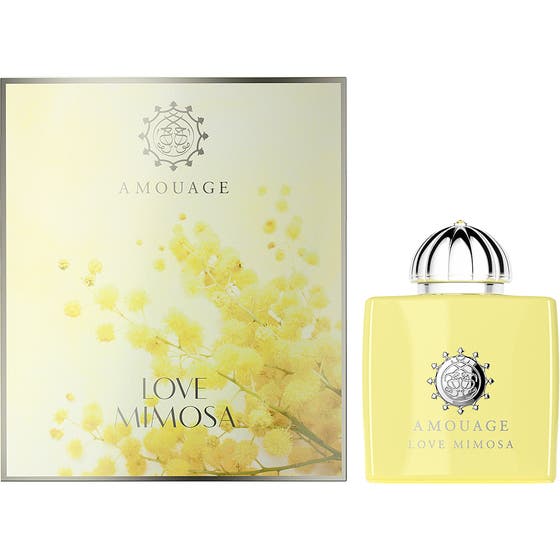 Love Mimosa