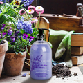 Signature English Lavender & Chamomille Hand Wash