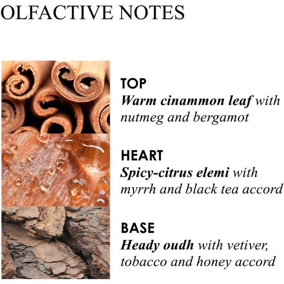 Mesmerising Oudh Accord & Gold