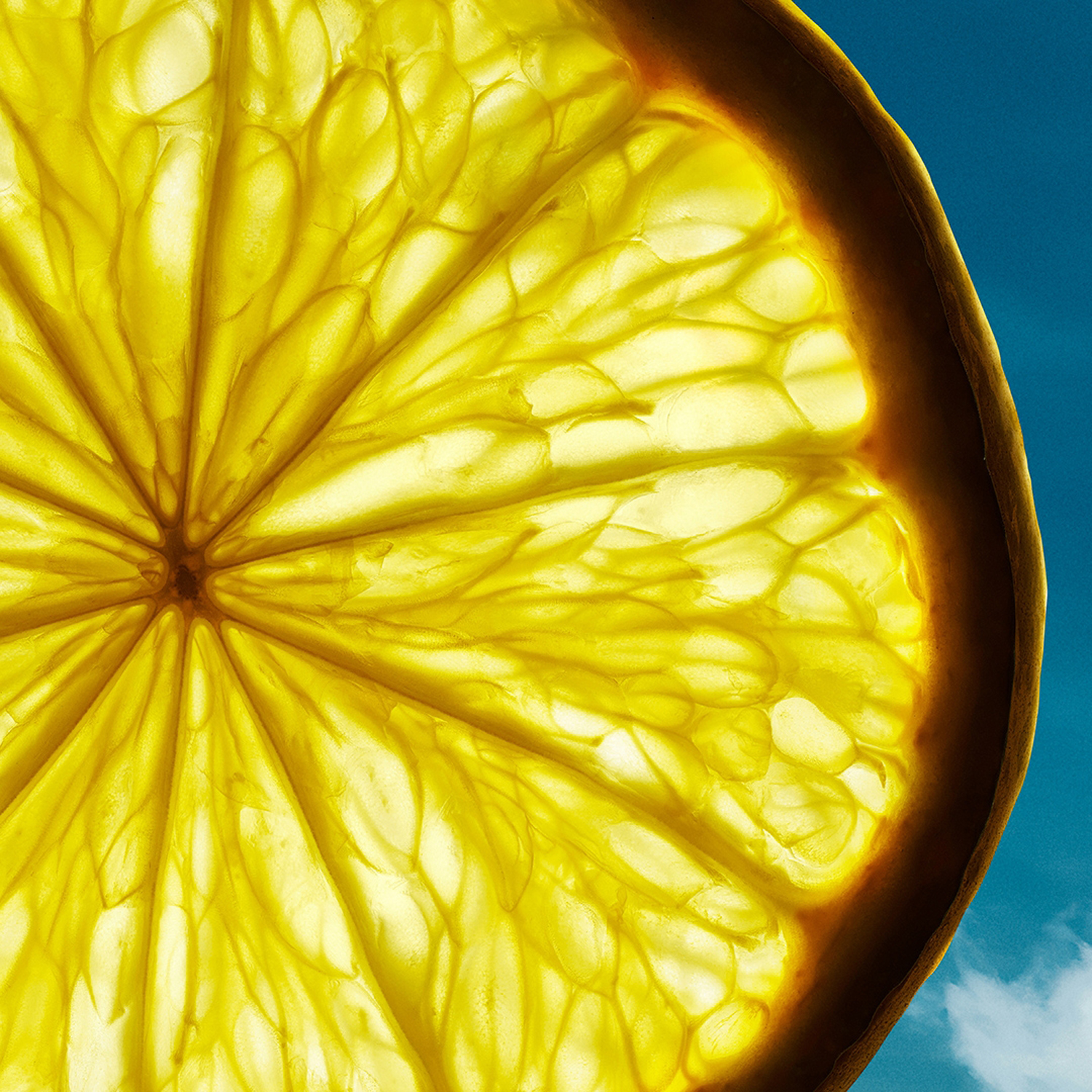 Bottled Bold Citrus Summer