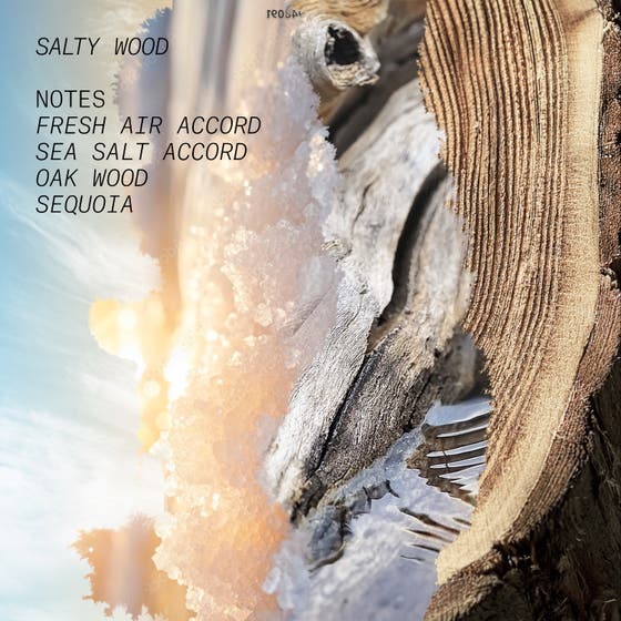  SALTY WOOD