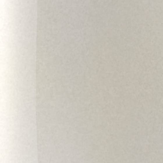 The Wonder Nail Polish Quick dry & Longwear