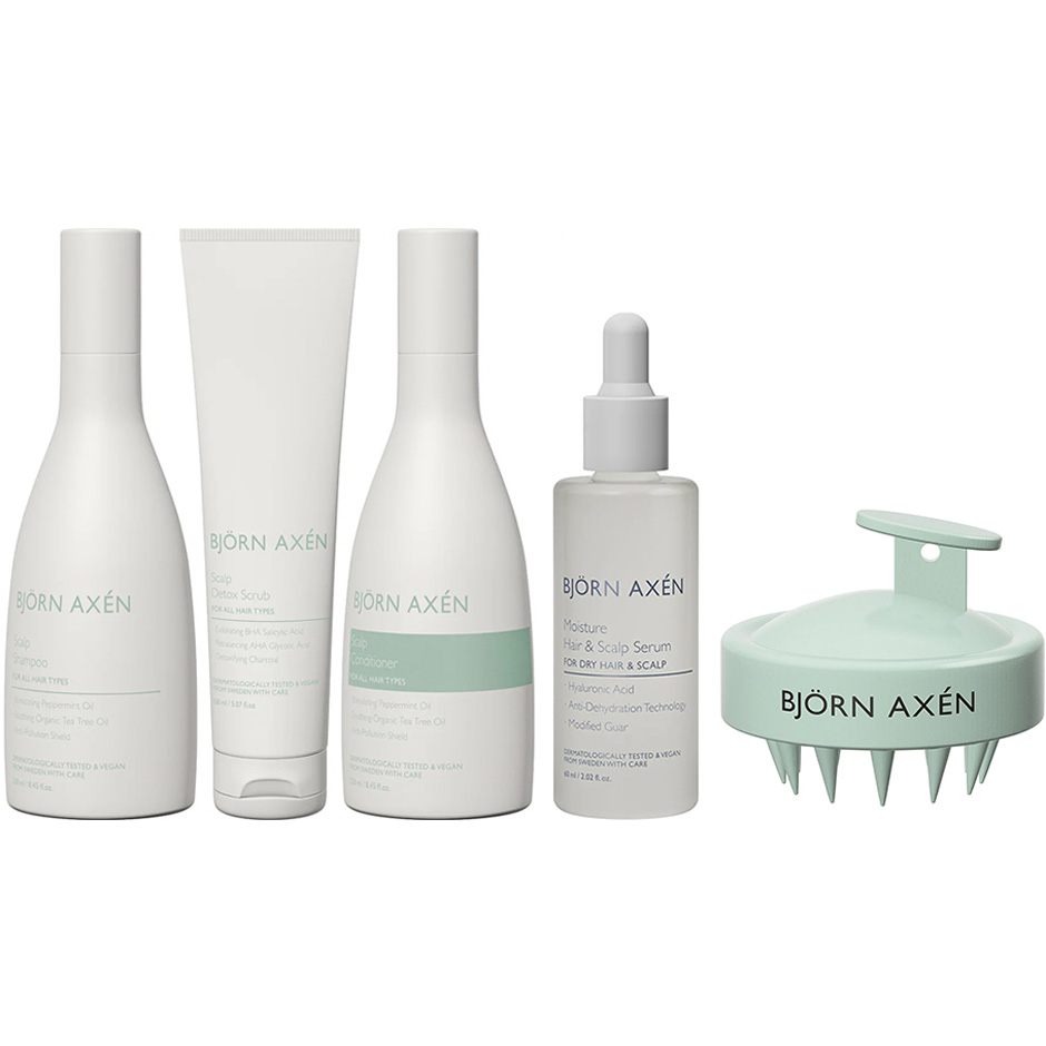 Björn Axén Ultimate Scalp Kit Shampoo250 ml Detox Scrub 150 ml Conditioner 250 ml Hair Scalp Serum 60 ml Scalp Massage Brush