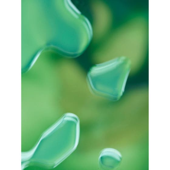 Acai All In One Moisturizer