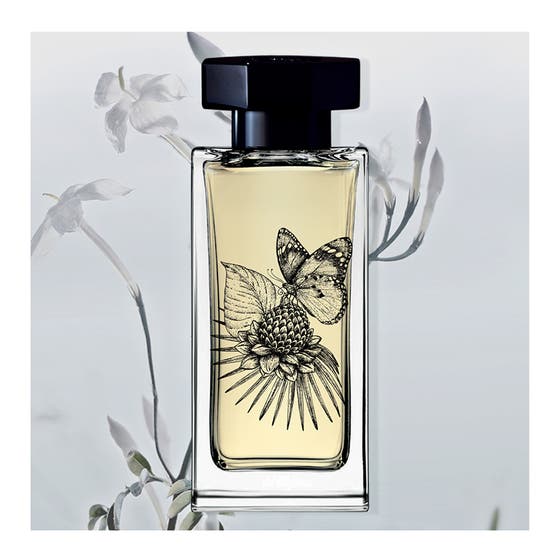 Lysandra Singulière