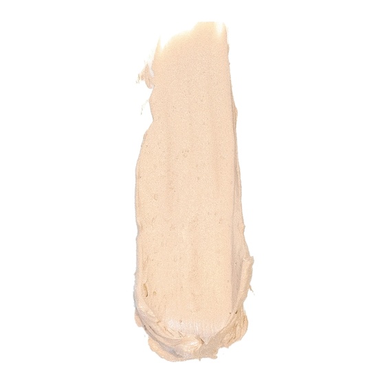 Anne T. Dotes Concealer