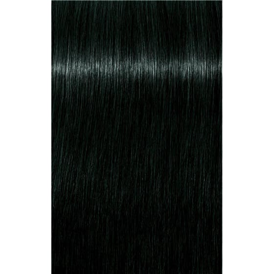 Igora Vibrance