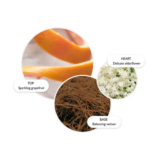 Vintage with Elderflower Fine Liquid Hand Wash