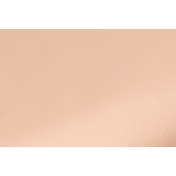 The No Compromise 2-in-1 Soft-Matte Foundation & Concealer