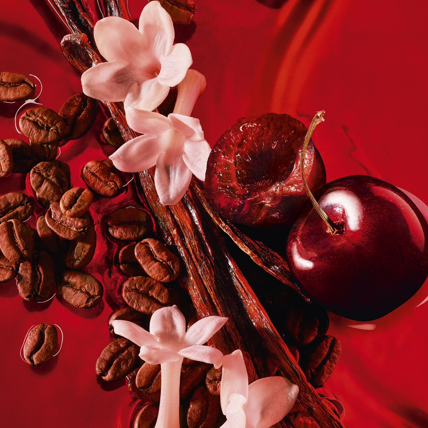 Black Opium Over Red