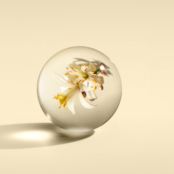 Luxury Scented Candle