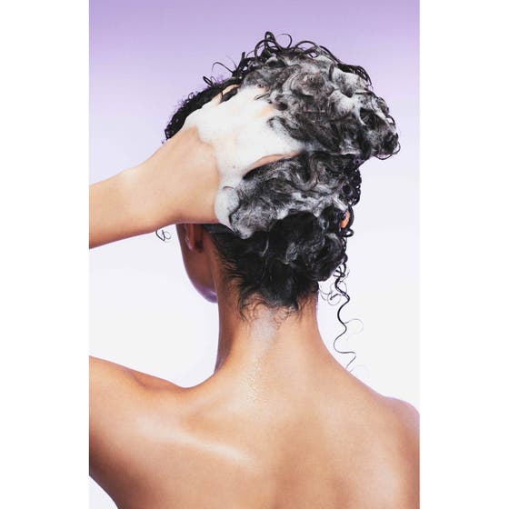 Scalp Refresh & Style Set