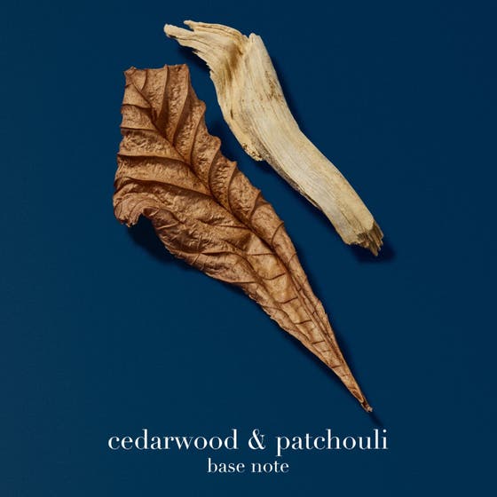 Acqua Di Giò Profondo Eau De Parfum Refill Pack