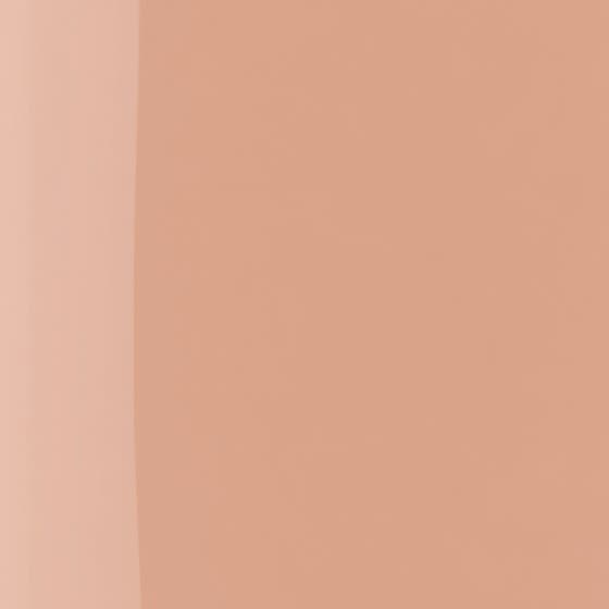 The Wonder Nail Polish Quick Dry & Longwear