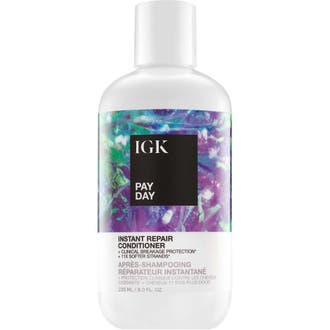 Pay Day Instant Repair Conditioner