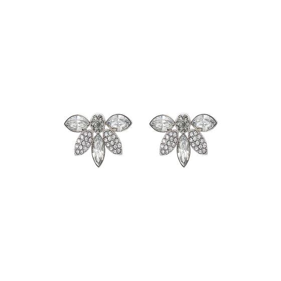 Lucia Ear