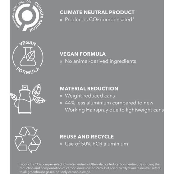 StyleSign Compressed Hairspray