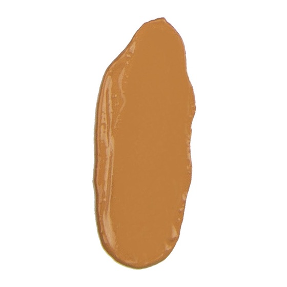 Anne T. Dote Tinted Moisturizer